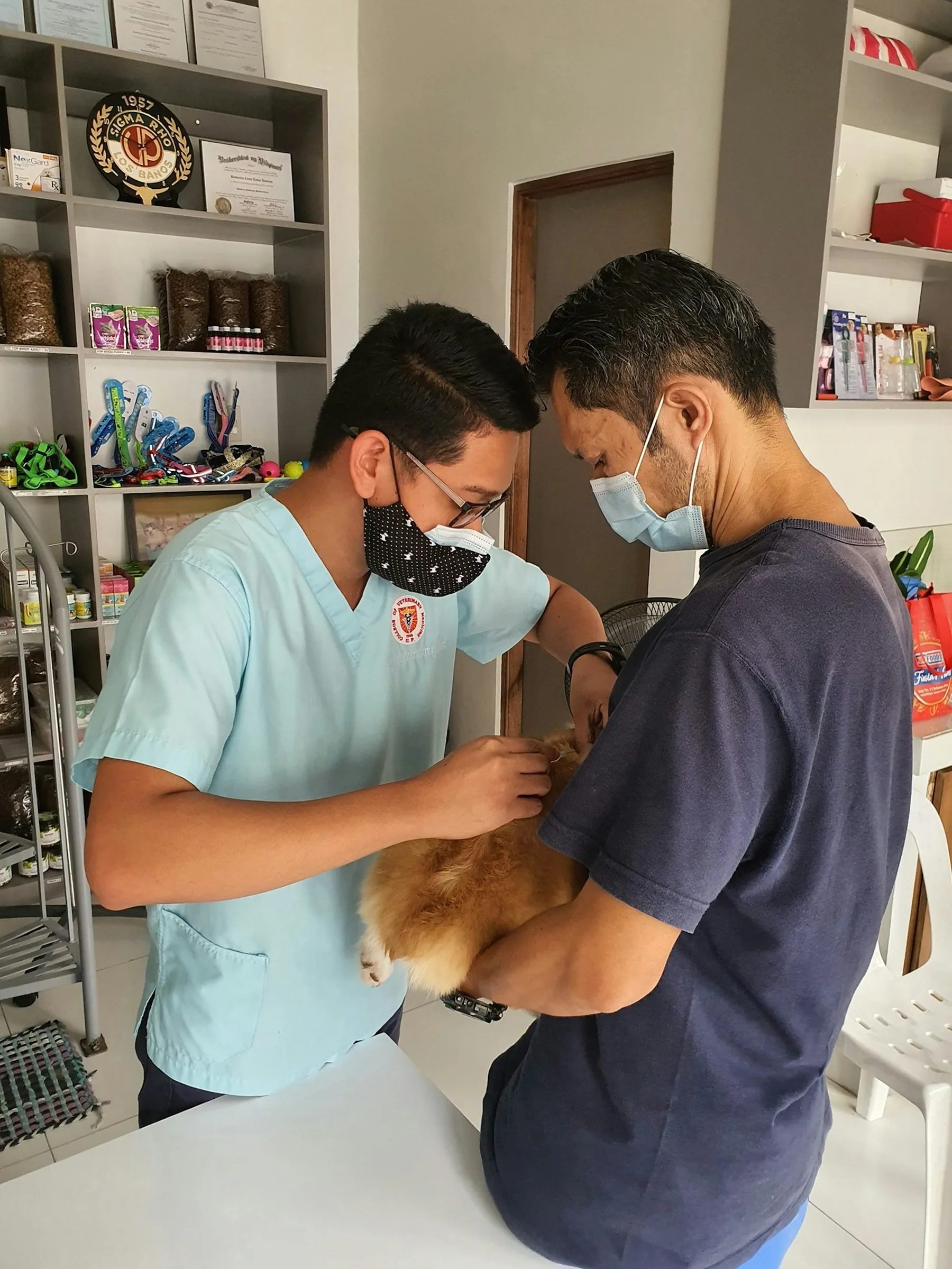 Köpek ve sahibi